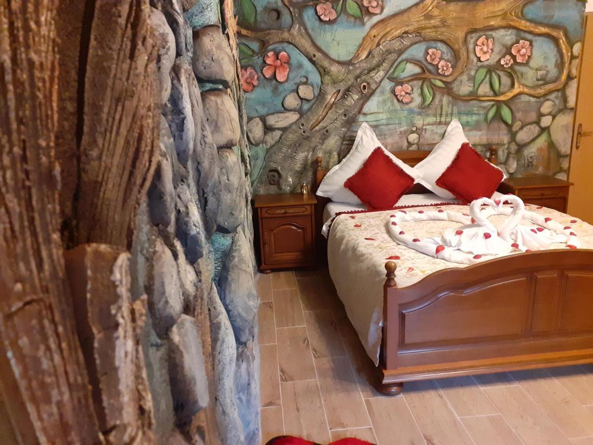 Pensiunea Dracula & Spa Capatineni-Ungureni Экстерьер фото